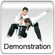 Demonstration - Long - Large Team