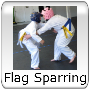 Flag Sparring