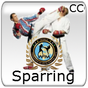 Sparring - Continuous Contact