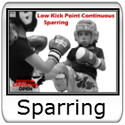 Sparring - Low Kick Continuous