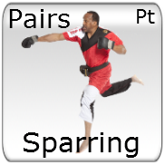 Sparring - Pairs - Point