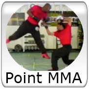 Point MMA Shorter