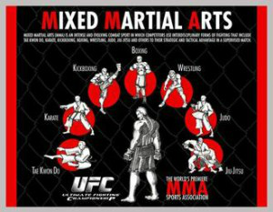 MMA (Mixed Martial Arts)